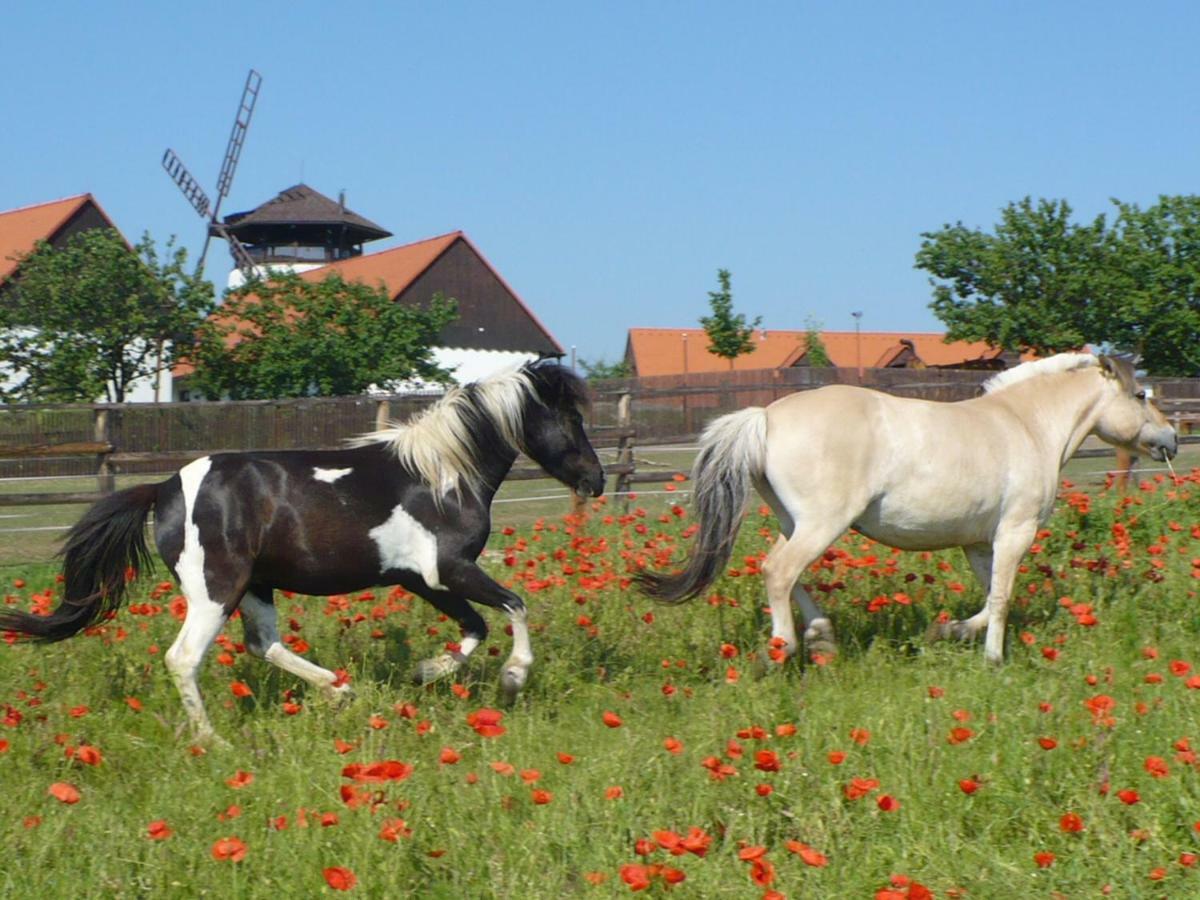 Bukovansky Mlyn Bukovany Luaran gambar